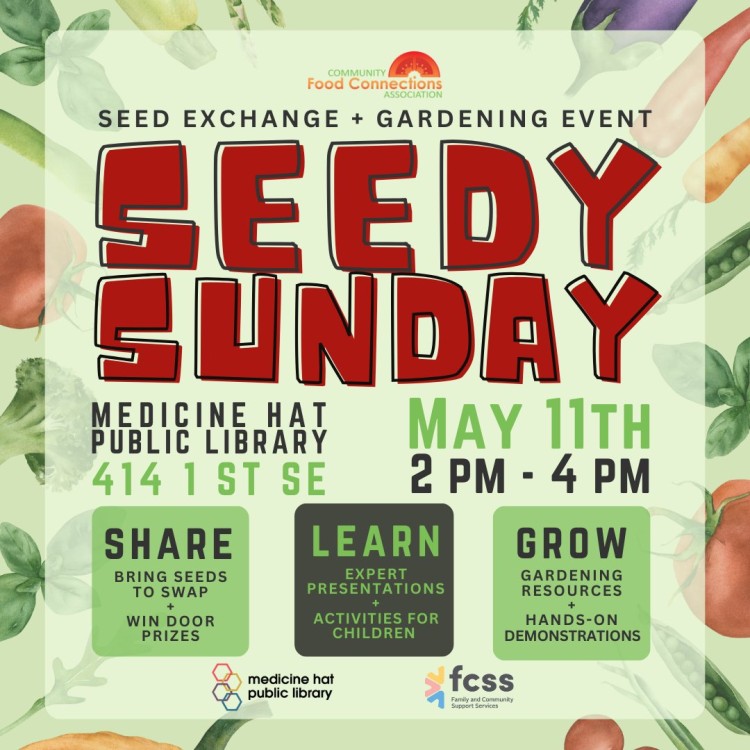 Seedy Sunday